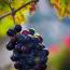 061