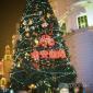 IMG_0638