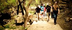 Æ Goes Hiking